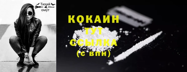 ешки Тайга