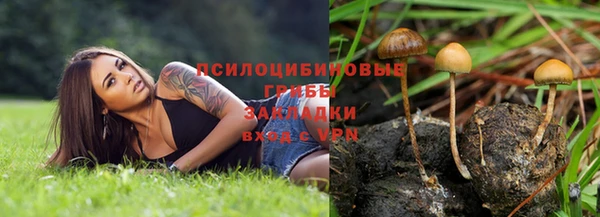 MDMA Бородино
